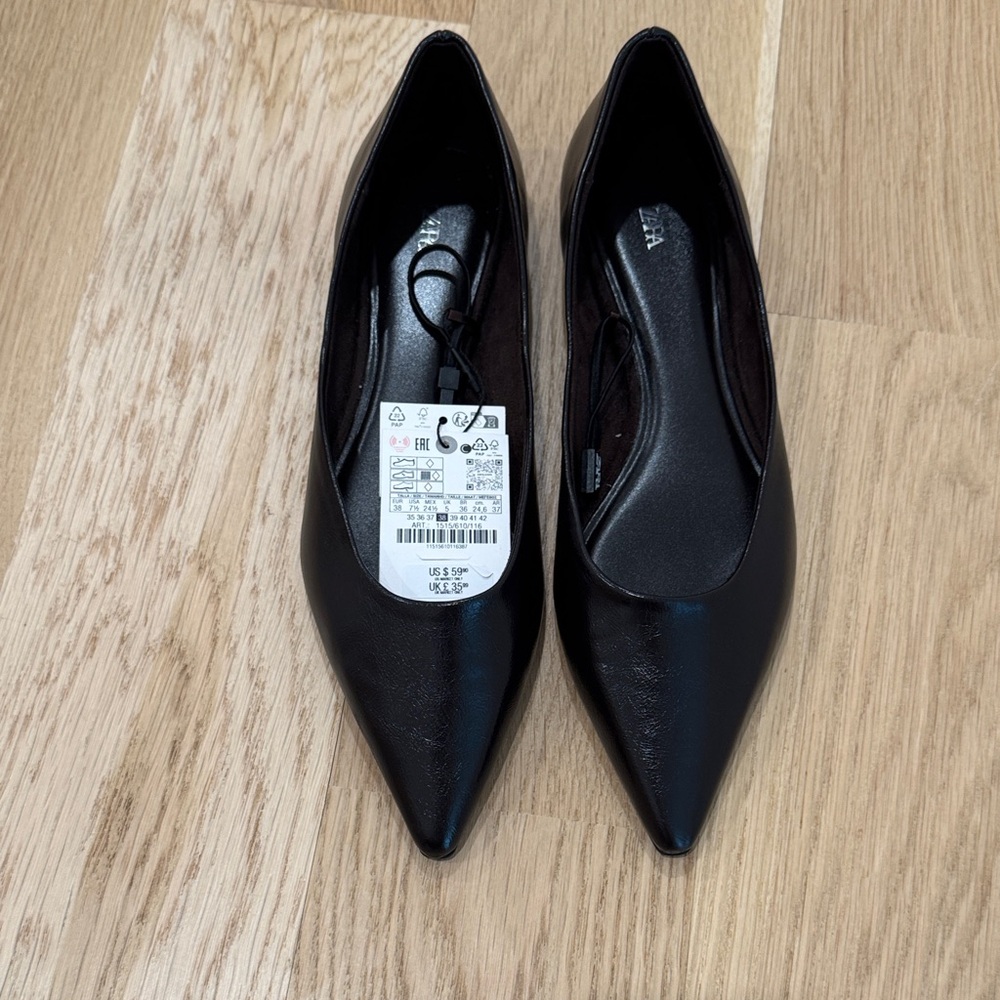 Zara Pointed Toe Ballet Flats